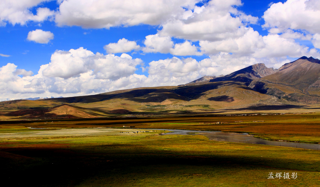 _MG_0996.JPG