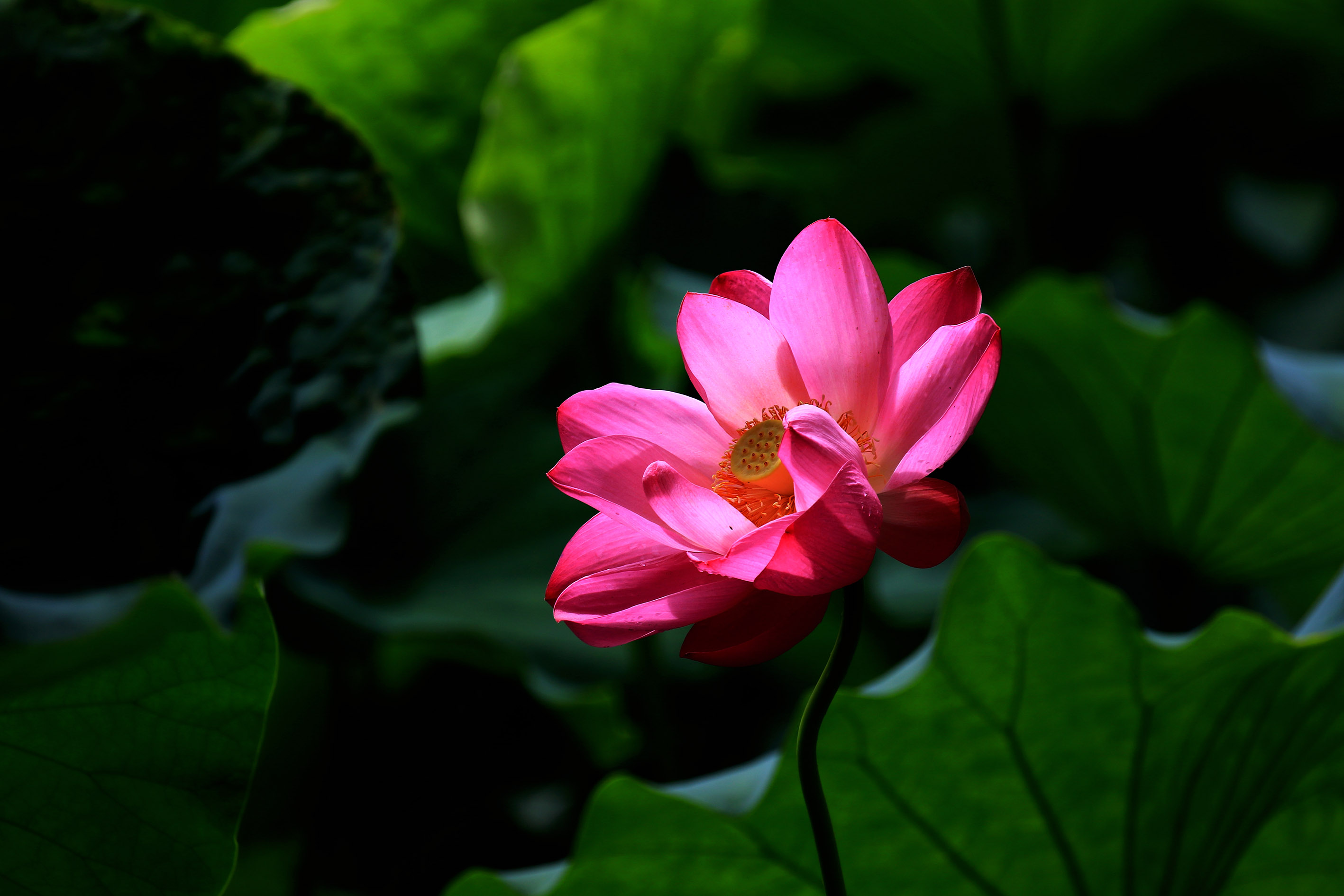 009A0916.jpg