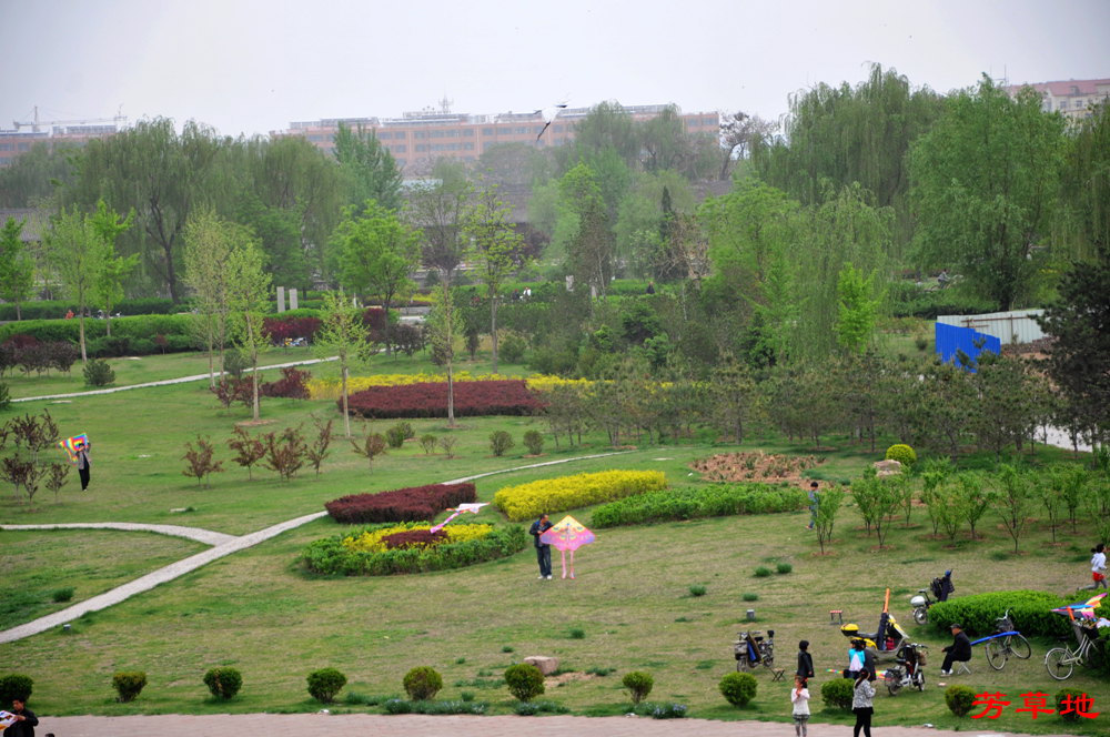 DSC_0097.jpg