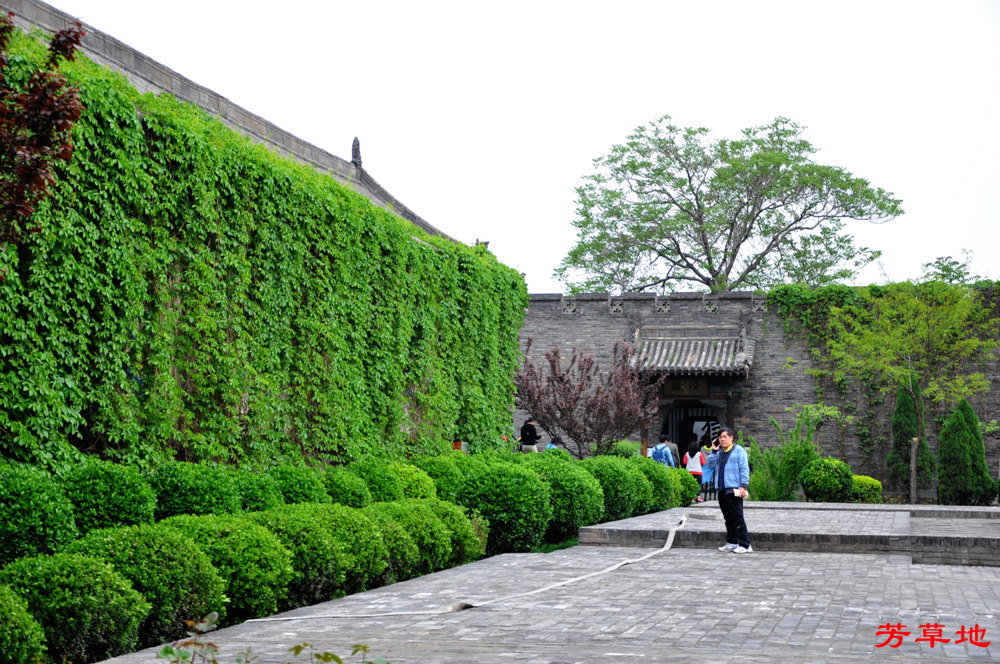 DSC_0185.jpg