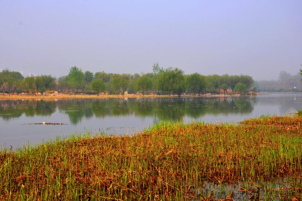 nEO_IMG_DSC_9543.jpg