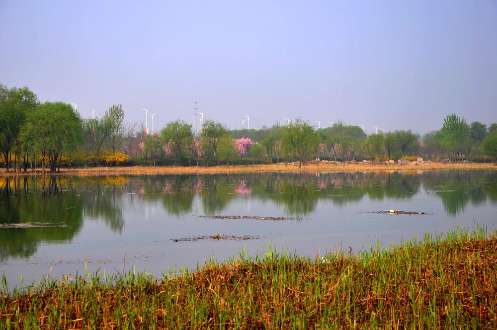 nEO_IMG_DSC_9544.jpg