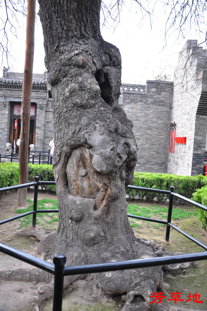 DSC_0271.jpg