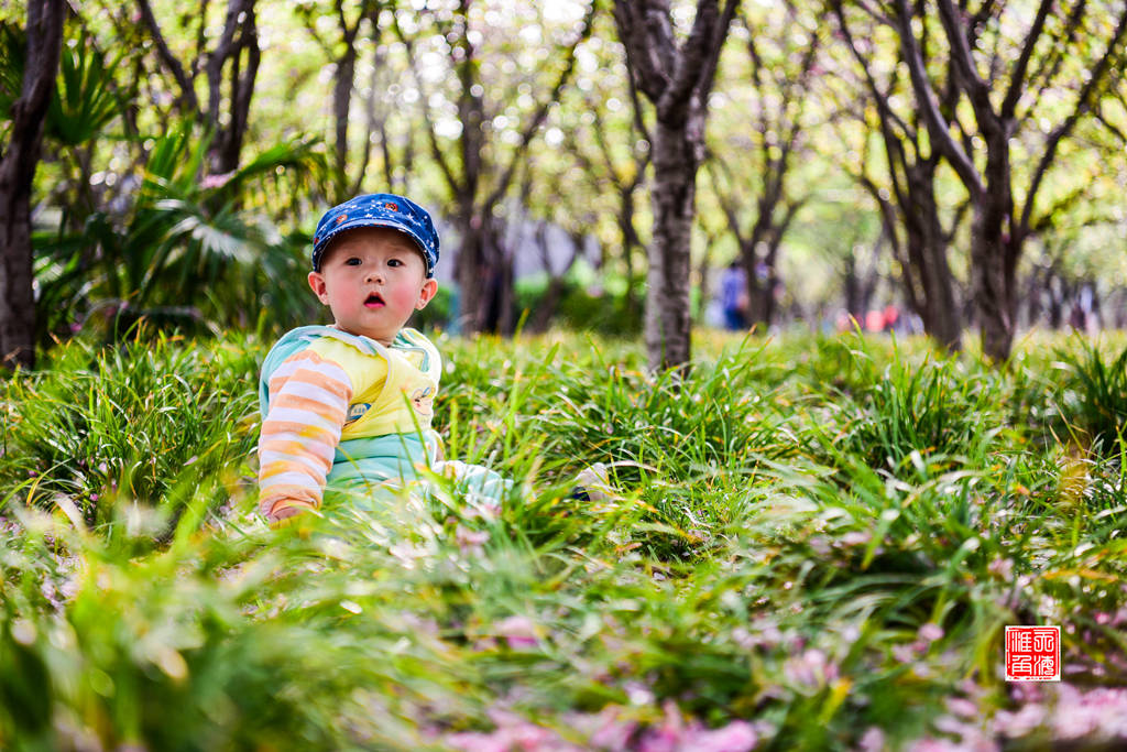DSC_3001_副本_副本_副本.jpg