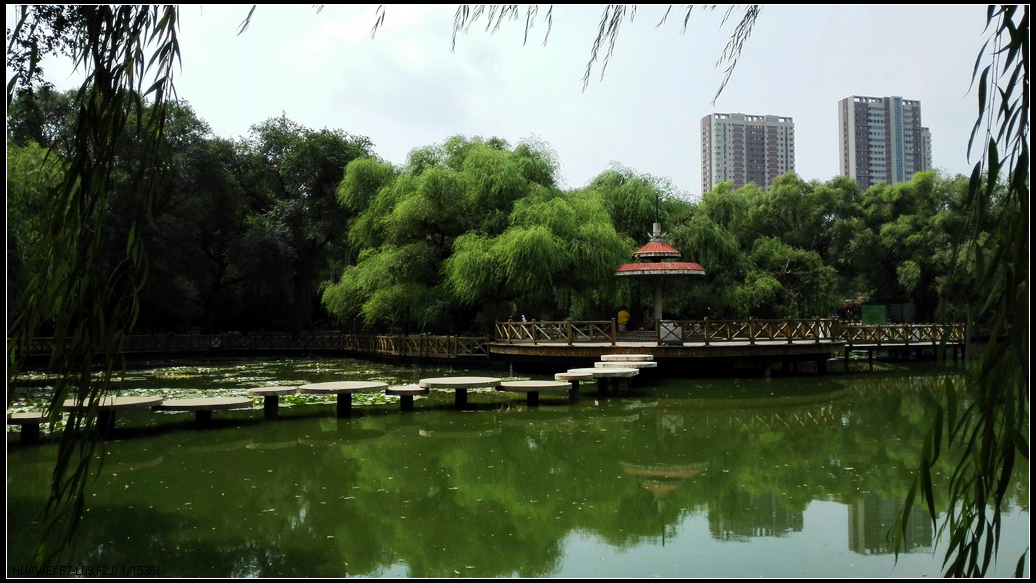 南湖公园1.jpg