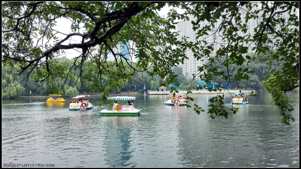 南湖公园6.jpg