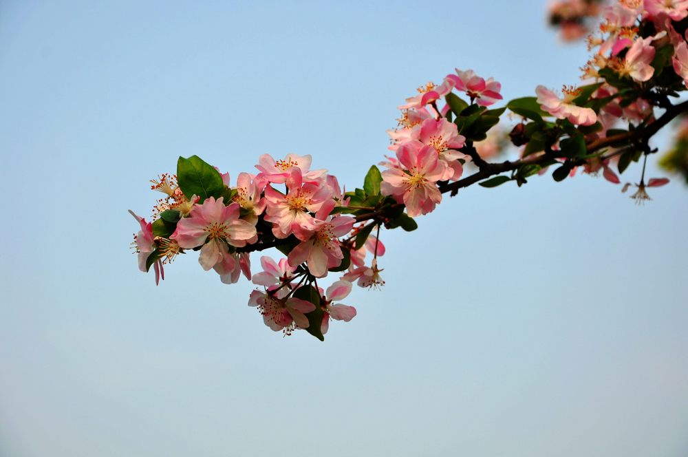 3=nEO_IMG_DSC_0016.jpg