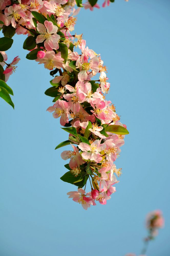 nEO_IMG_DSC_0008.jpg