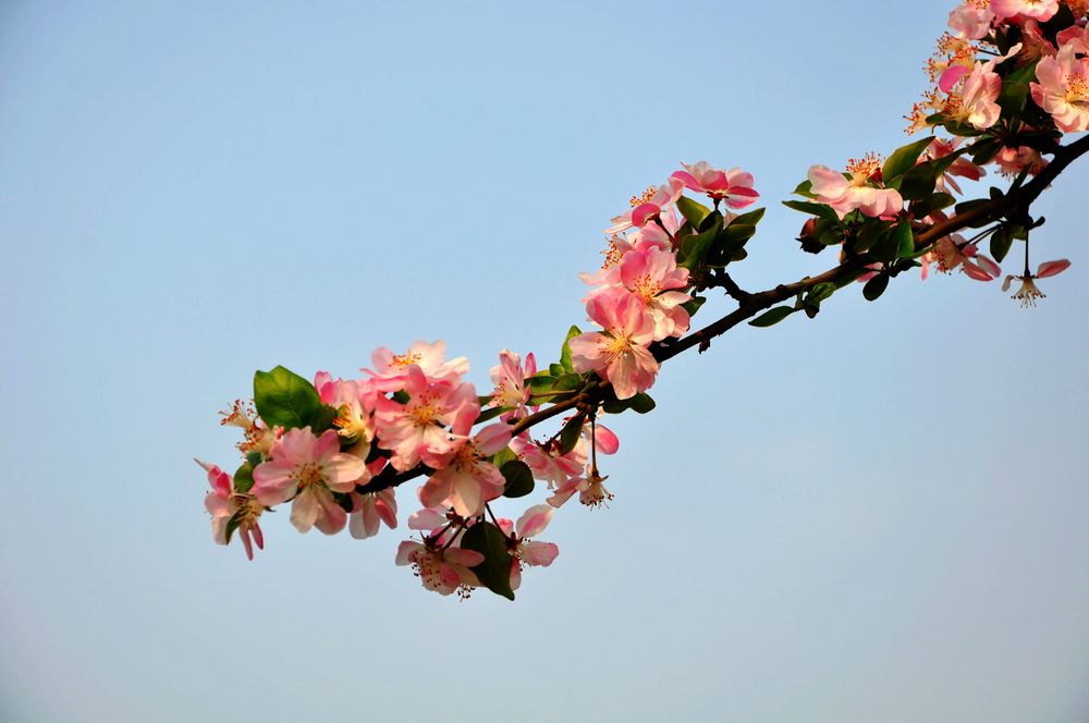 nEO_IMG_DSC_0014.jpg