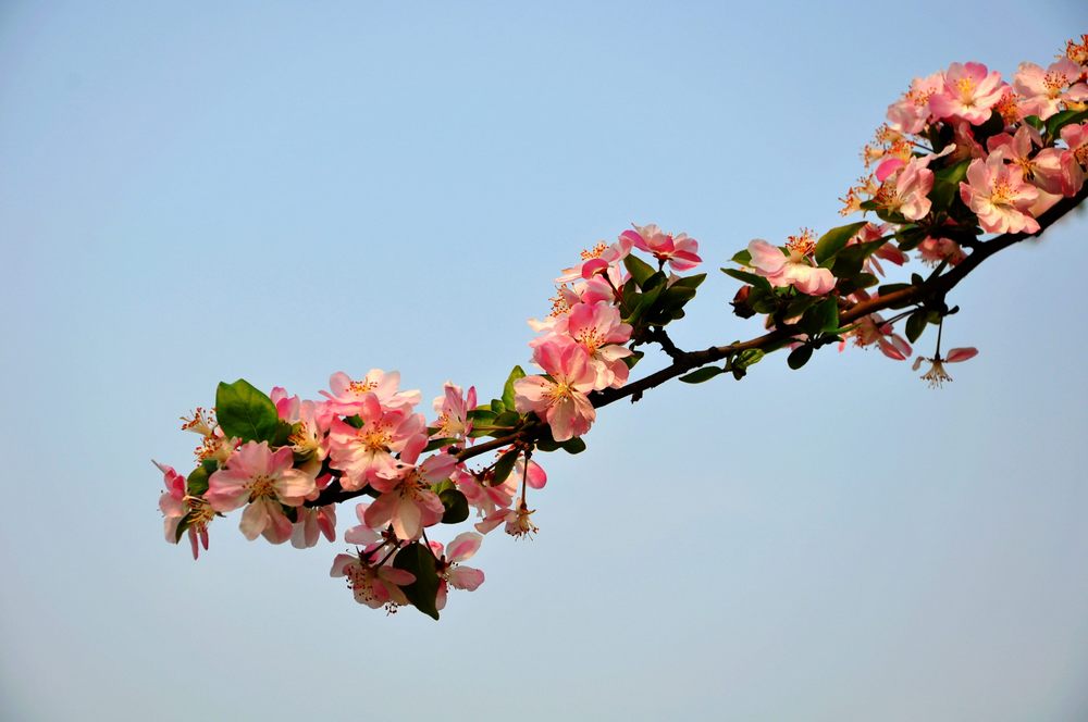 nEO_IMG_DSC_0015.jpg