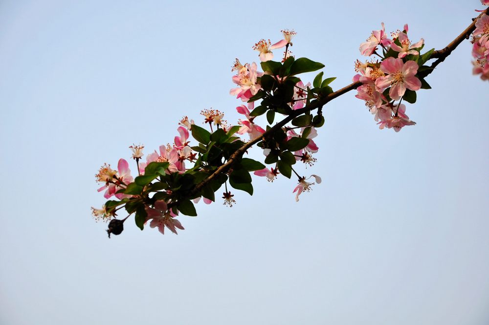 nEO_IMG_DSC_0018.jpg