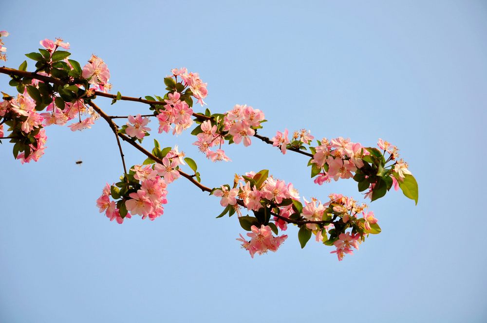 nEO_IMG_DSC_0022.jpg
