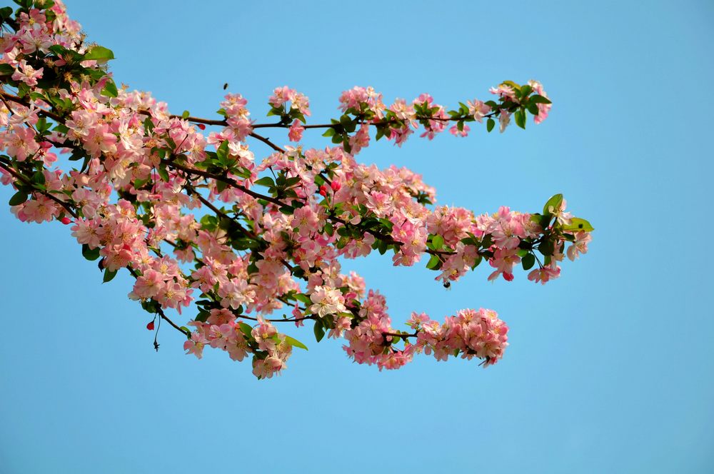 nEO_IMG_DSC_0024.jpg