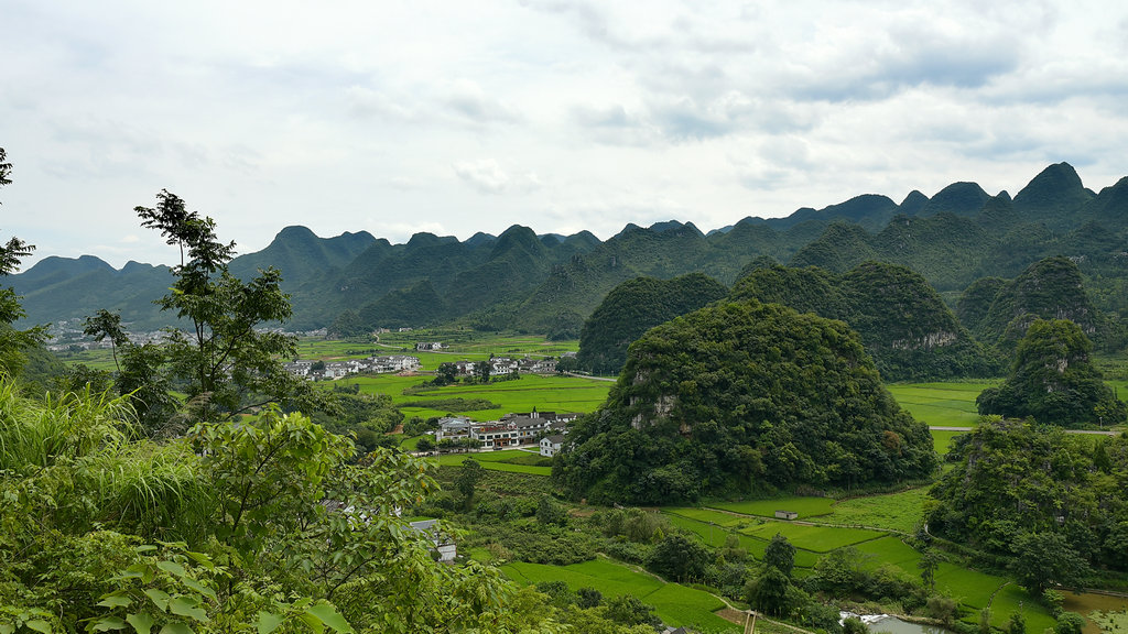 DSC_9376_dh_副本_副本.JPG