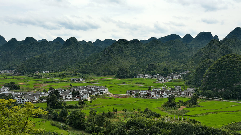 DSC_9385_dh_副本_副本.JPG