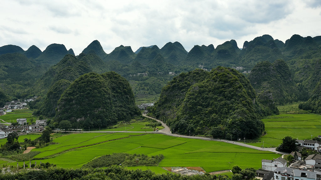 DSC_9386_dh_副本_副本.JPG