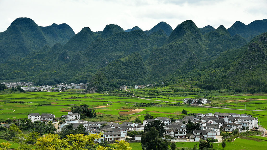 DSC_9389_dh_副本_副本.JPG