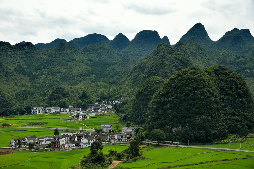 DSC_9390_dh_副本_副本.JPG