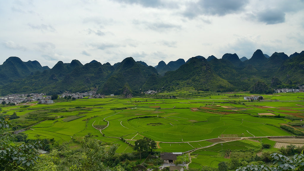 DSC_9392_dh_副本_副本.JPG