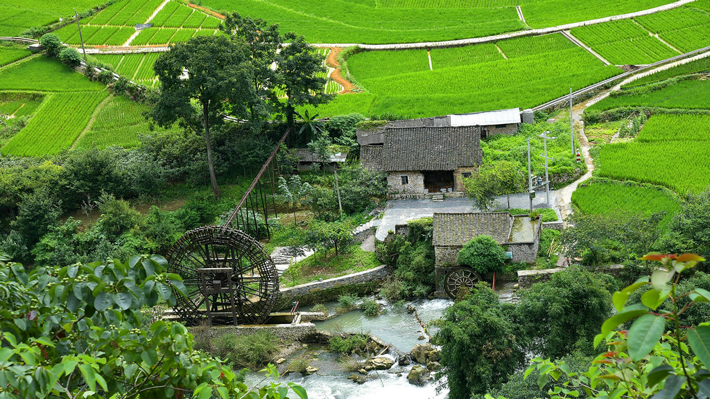 DSC_9395_dh_副本_副本.JPG