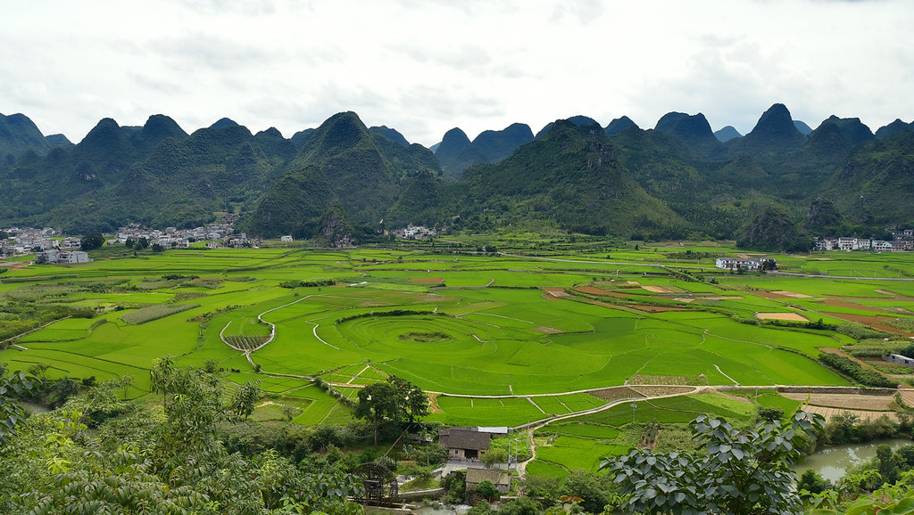 DSC_9396_dh_副本_副本.JPG