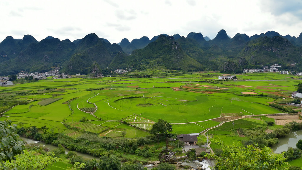 DSC_9403_dh_副本_副本.JPG