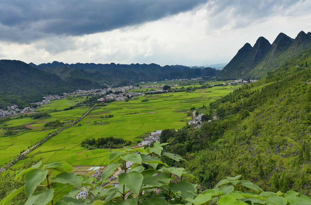 DSC_9419_dh_副本_副本.JPG
