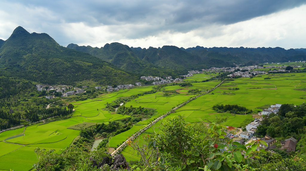 DSC_9426_dh_副本_副本.JPG