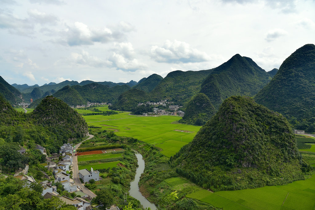 DSC_9431_dh_副本_副本.JPG