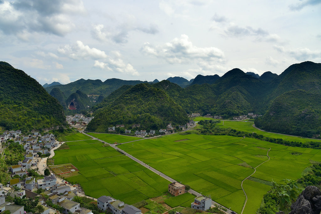 DSC_9445_dh_副本_副本.JPG