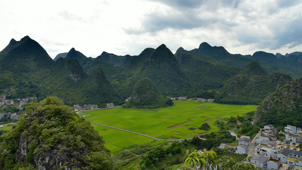 DSC_9448_dh_副本_副本.JPG