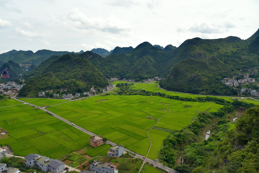 DSC_9450_dh_副本_副本.JPG