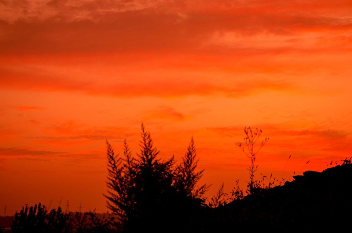 AA0_2920.jpg