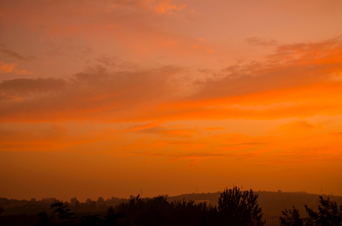 AA0_2922.jpg