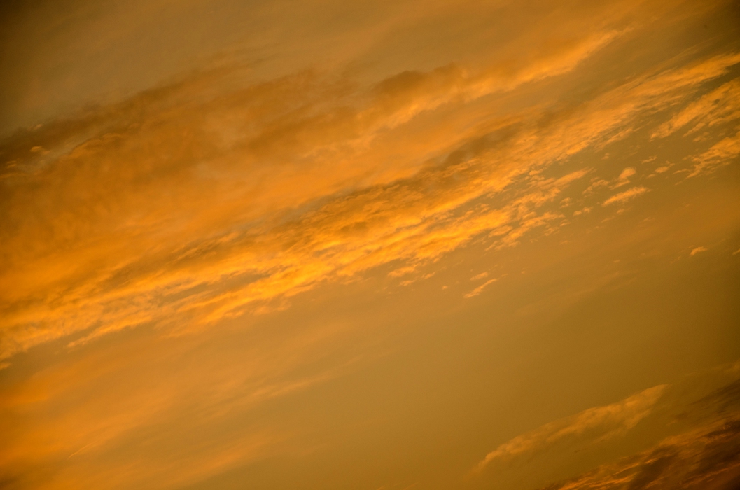 AA0_2928.JPG