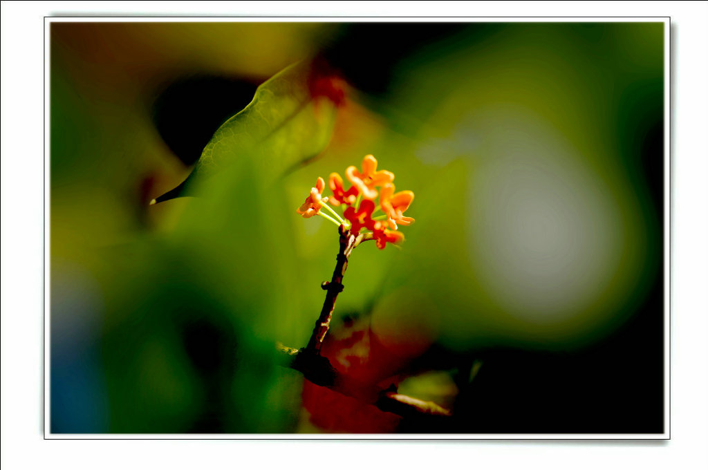 8-DSC_8158-1.jpg