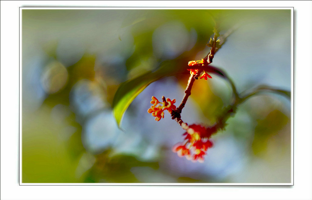 7-DSC_8144-1.jpg