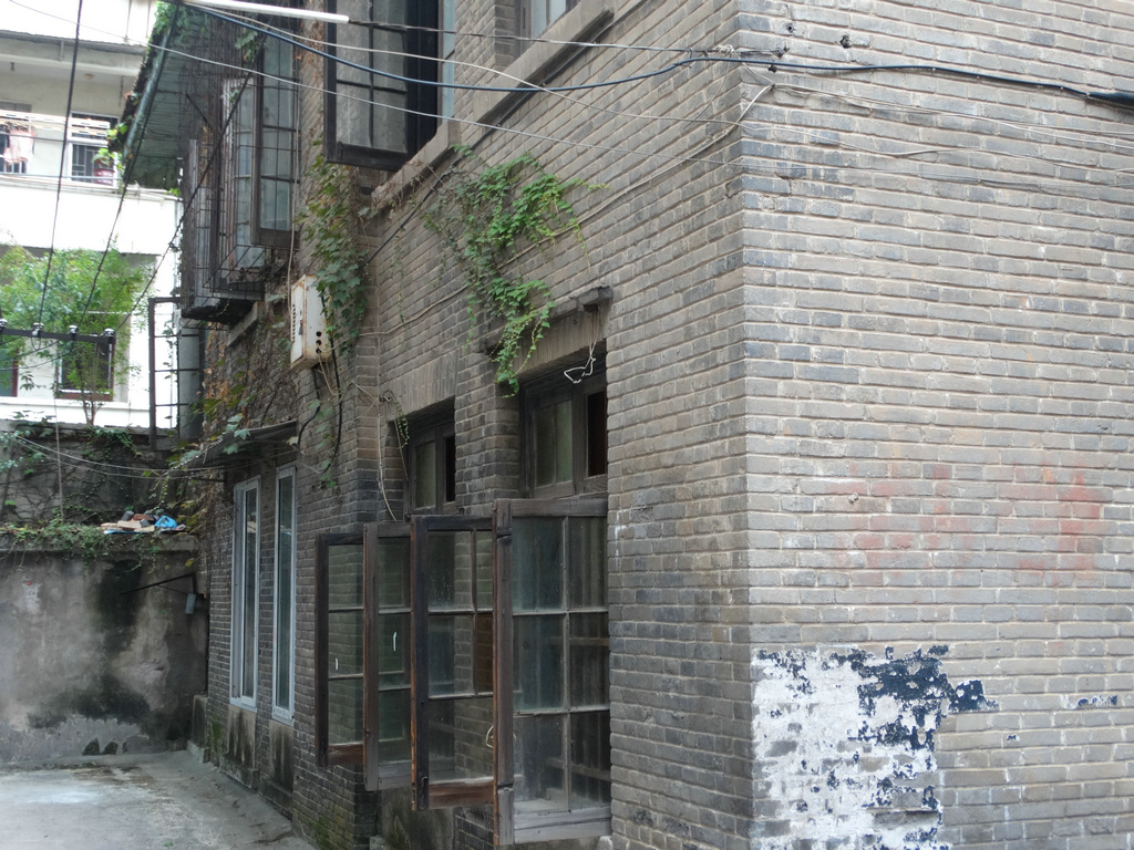 DSC01040.JPG