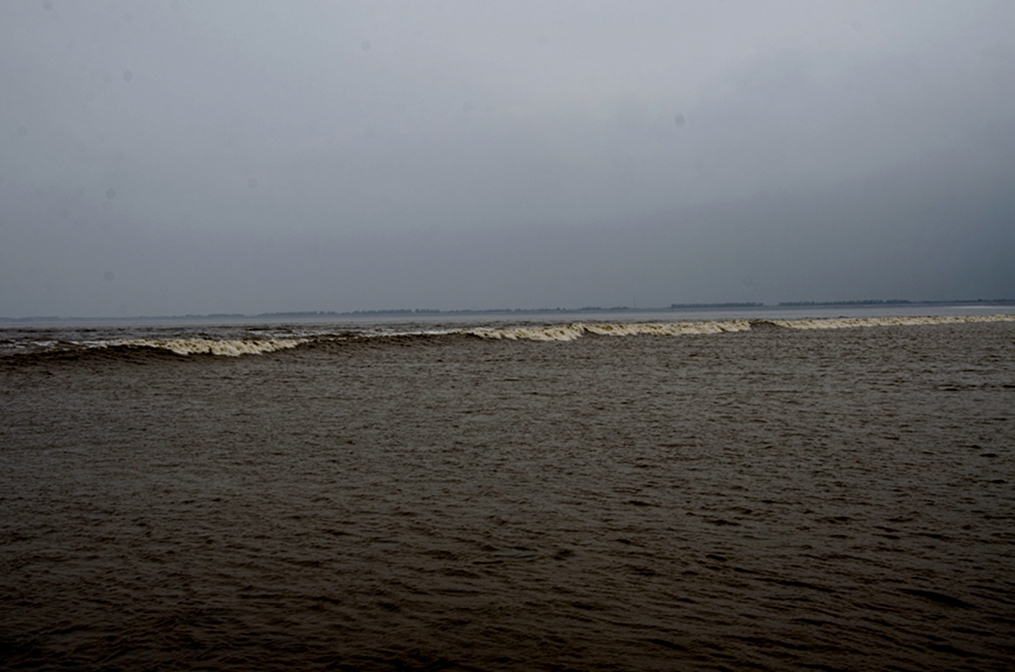 DSC_3924.JPG