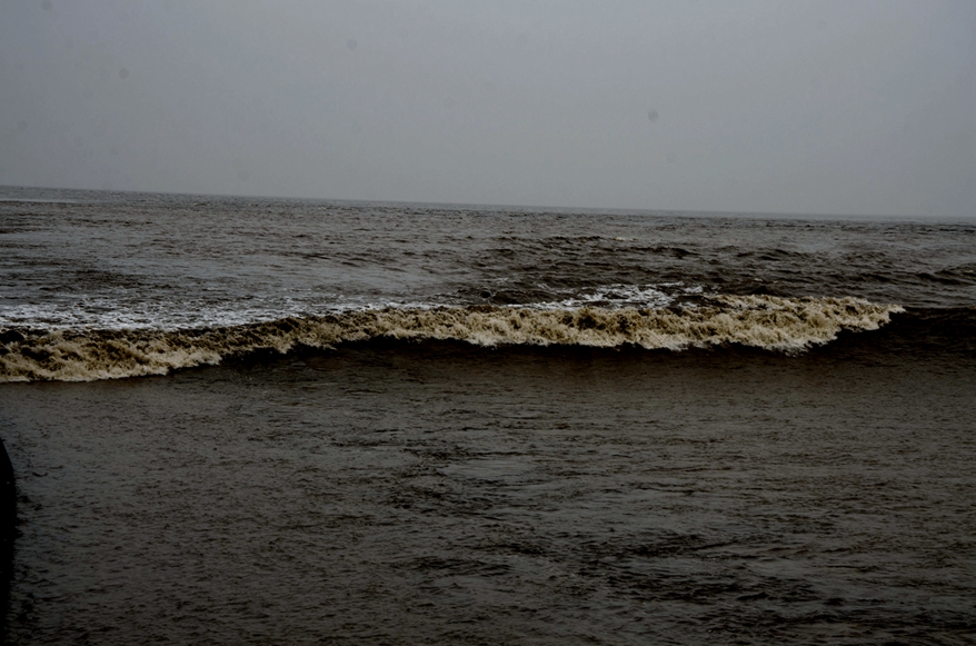 DSC_3925.JPG
