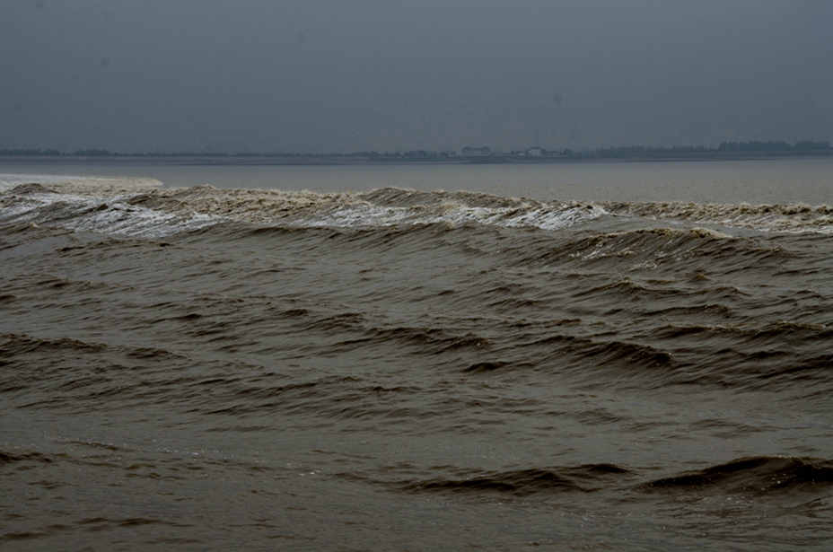 DSC_3936.JPG
