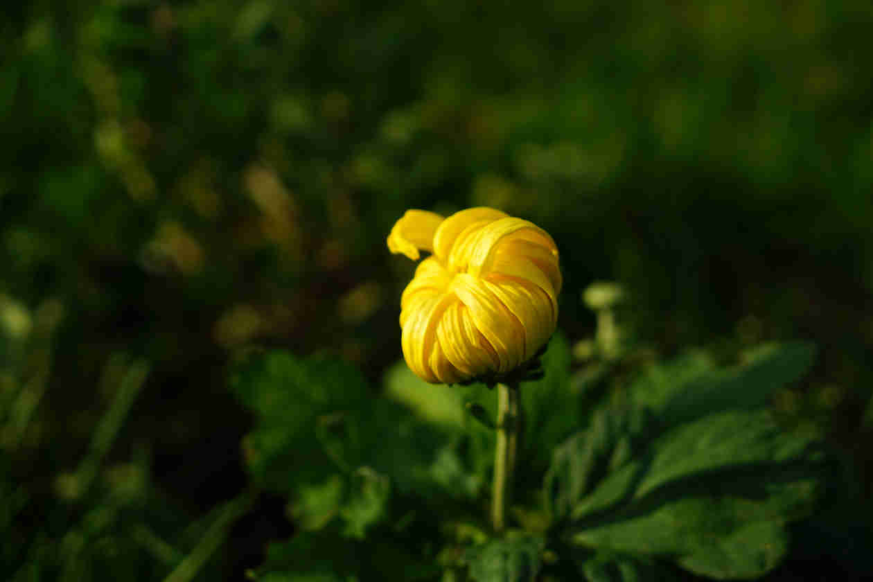 DSC01094_副本.jpg