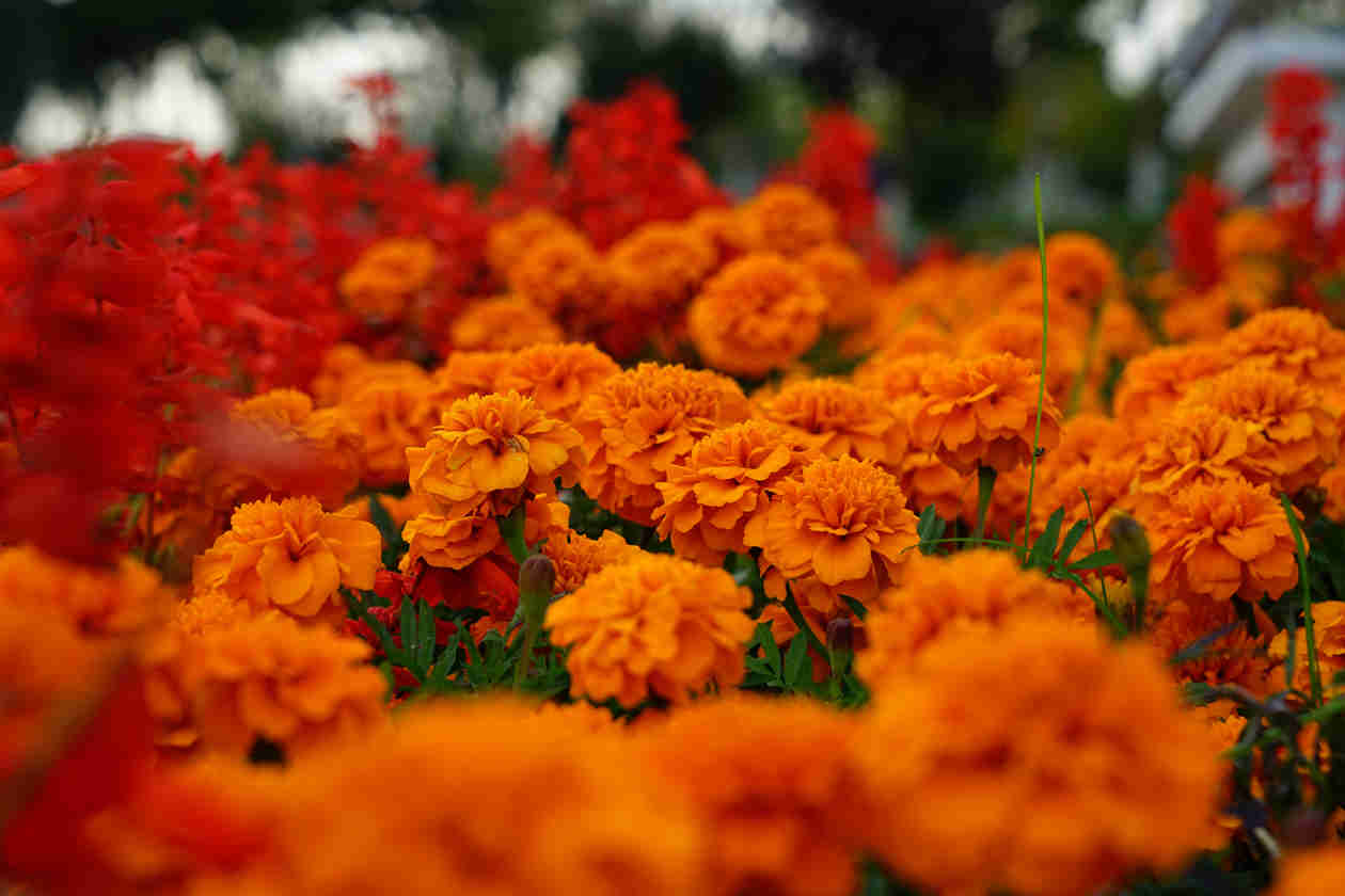 DSC01097_副本.jpg