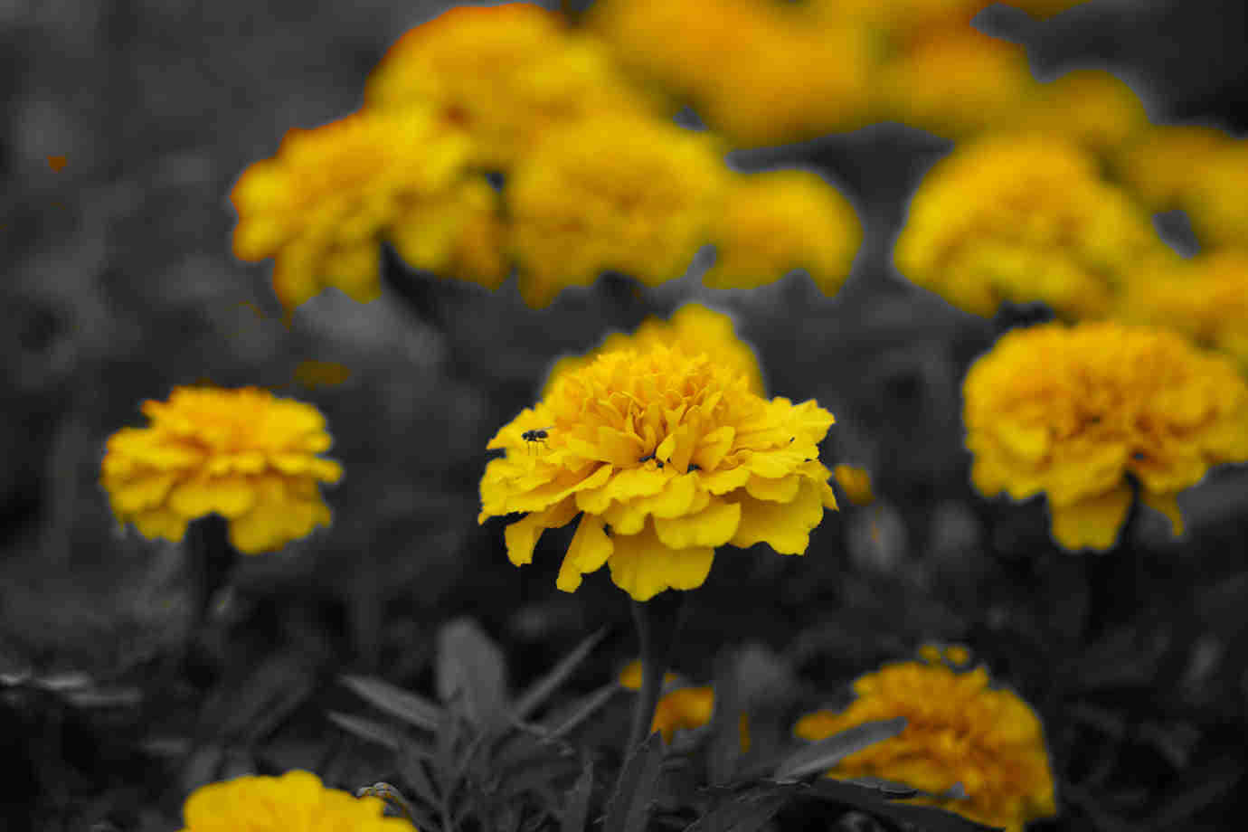 DSC01098_副本.jpg