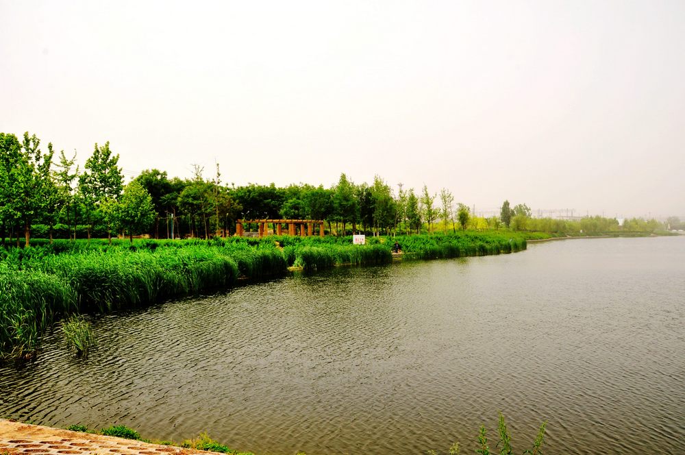 1=nEO_IMG_DSC_0306.jpg