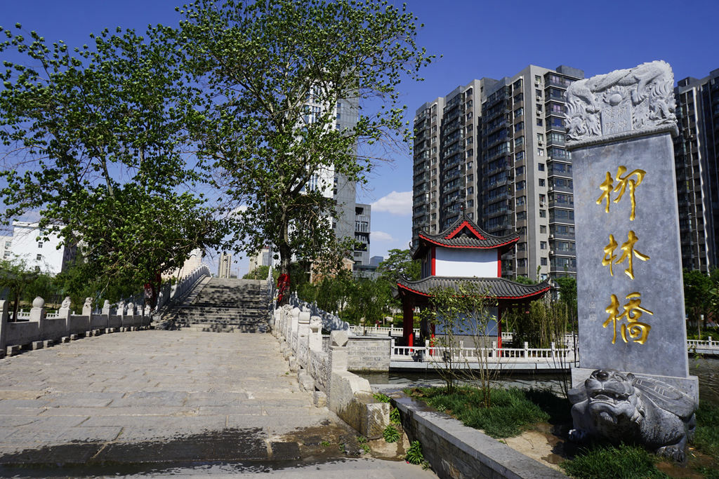 _DSC6318_副本.jpg