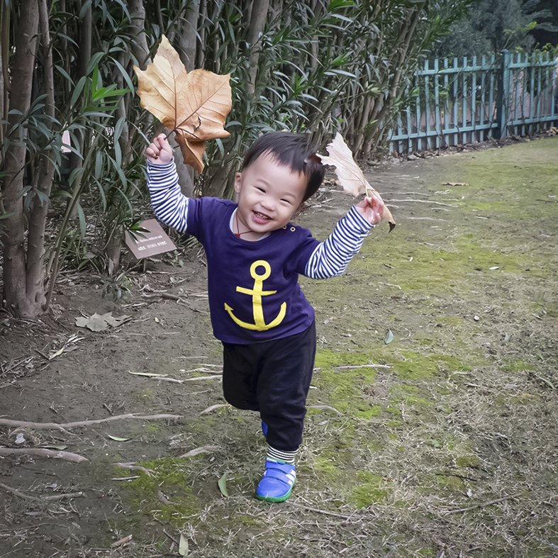 舞桐DSCF3970---6.jpg