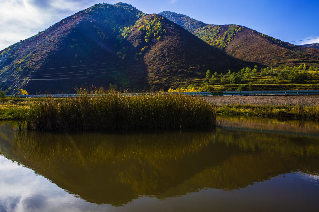 8R5A5636_调整大小.jpg