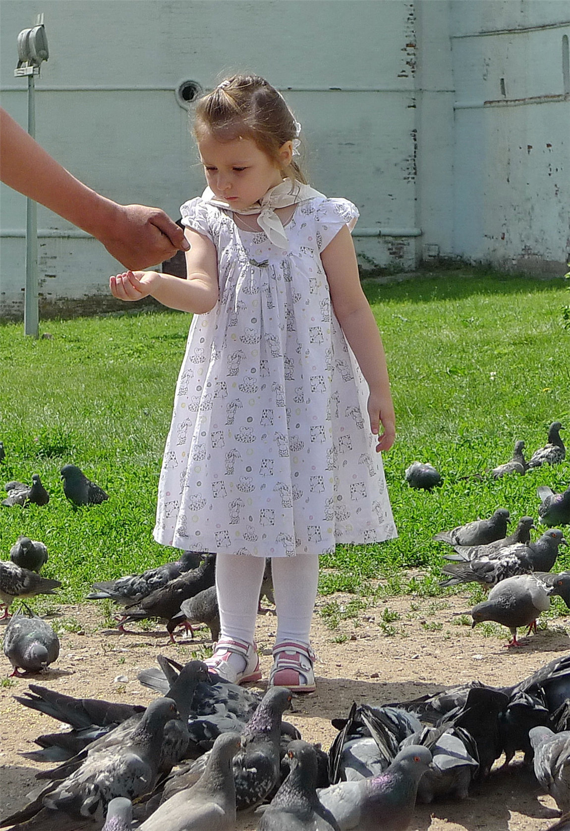 P1070220.jpg