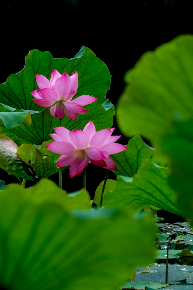 DSCF4074_2.JPG